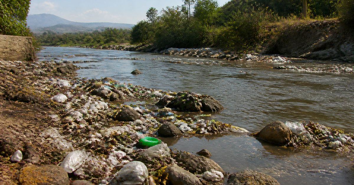 De sancionar a restaurar: la nueva ley Ambiental (LGEEPA)