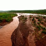 Río Sonora-Grupo México dispuesto a solucionar desastre ambiental