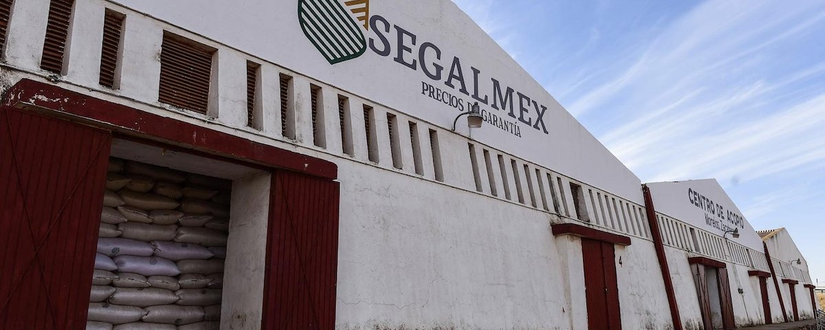 En Segalmex hubo corrupción: se desviaron 9 mil 500 millones de pesos. Tras las investigaciones se ha logrado recuperar el 50% de lo robado.