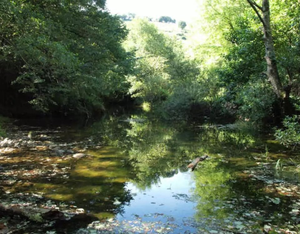 Las gobernadoras de CDMX, Morelos y Edomex firman decreto para impulsar acciones de protección del Bosque de Agua