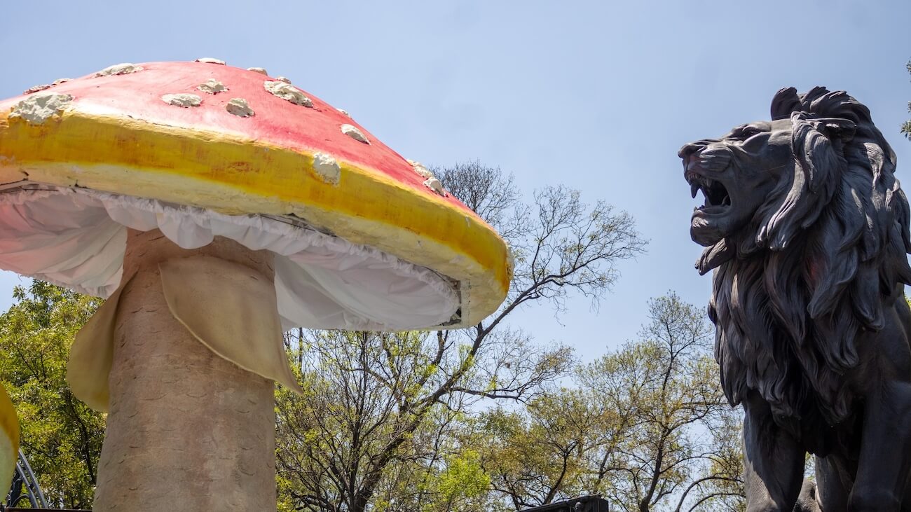 Spora: 10 días para redescubrir la vida en Chapultepec