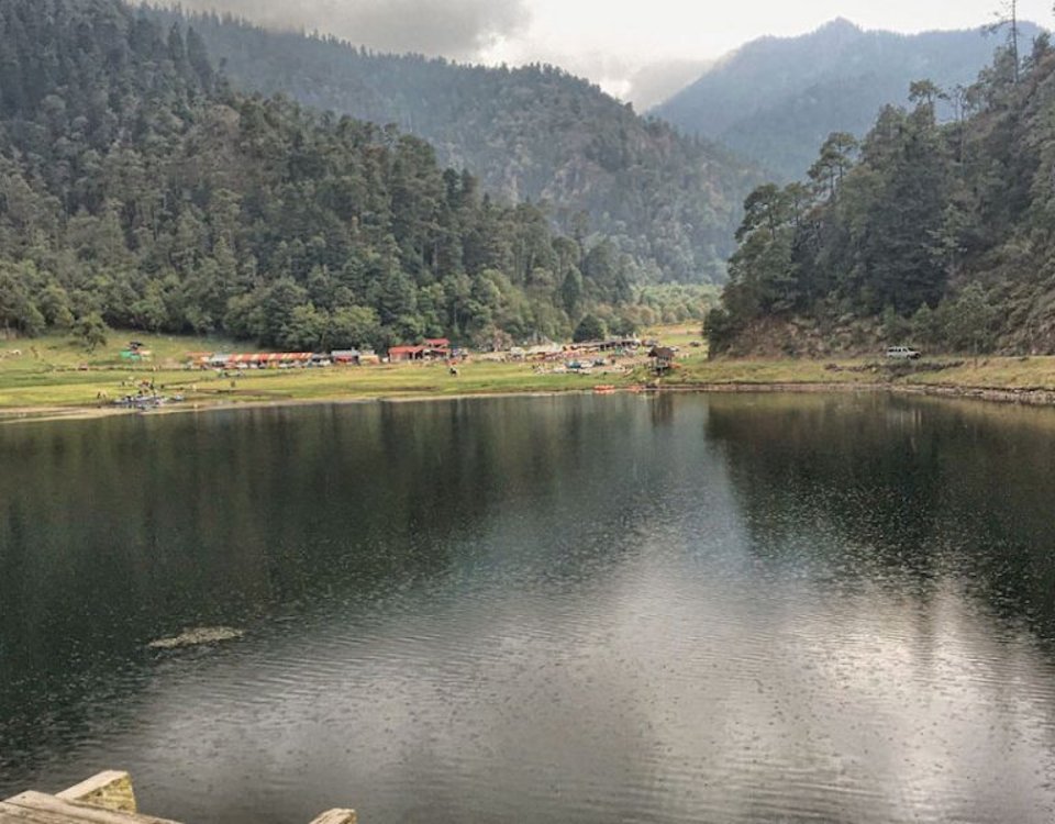 El Bosque de Agua es un ecosistema esencial, recarga los mantos acuíferos que abastecen 70 % del agua que se consume en la capital del país