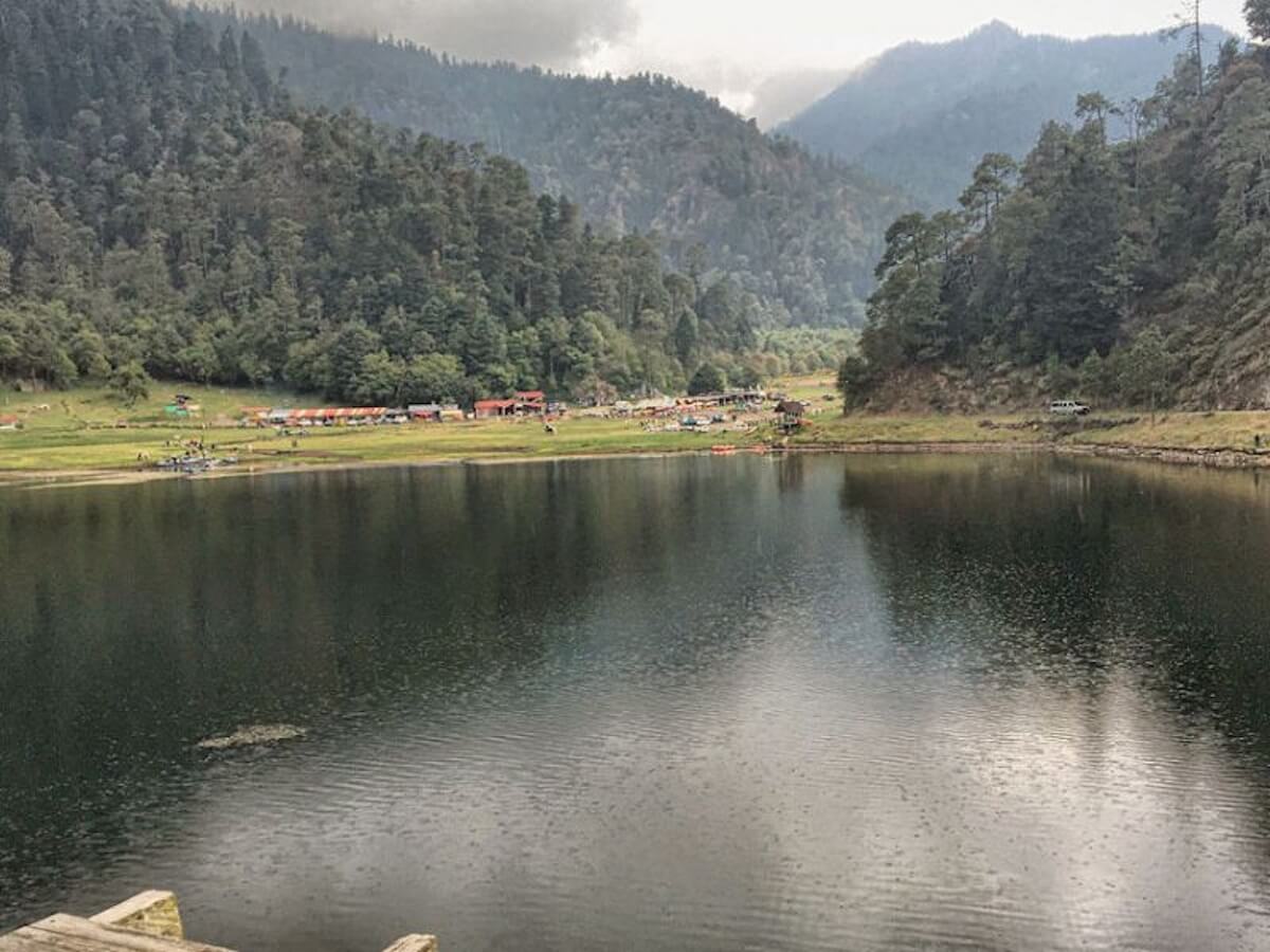 CDMX y Edomex alimentan Bosque de Agua con 455 mil plantas