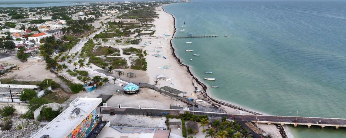Cada día México genera 15 mil toneladas de plástico en México, del las cuales, el 80 por ciento termina en las playas