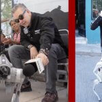 Con Waldog, el perro robot, se busca  llegar a nuevas generaciones, hacer comunidad y fomentar el bienestar animal: Waldo Fernández