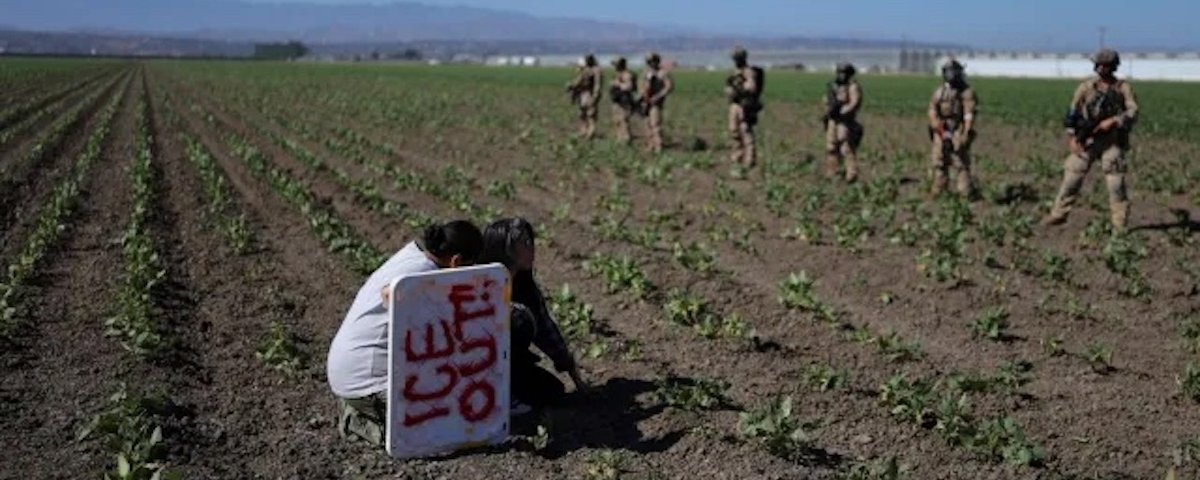 Ante las redadas en campos agrícolas de California, la presidenta Sheinbaum anunció el fortalecimiento de los consulados mexicanos