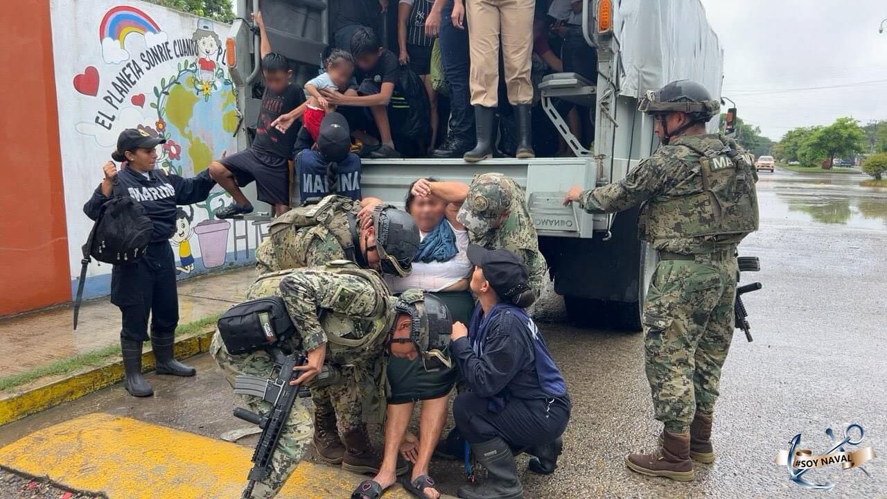 Los buitres en Veracruz