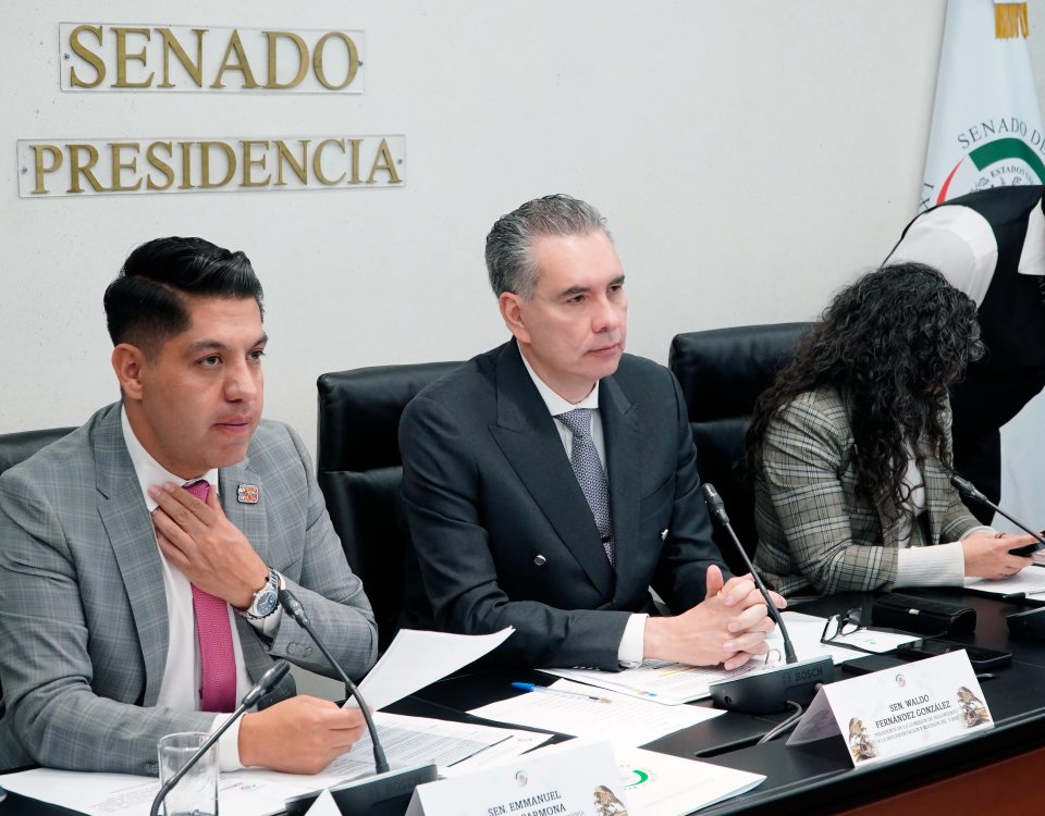 El Senado de la República establecerá términos base para la negociación del T-MEC, afirmó el senador Waldo Fernández. Se implementarán mesas de trabajo con empresarios y sectores estratégicos a fin de evaluar la aplicación del acuerdo y defender los intereses productivos nacionales.