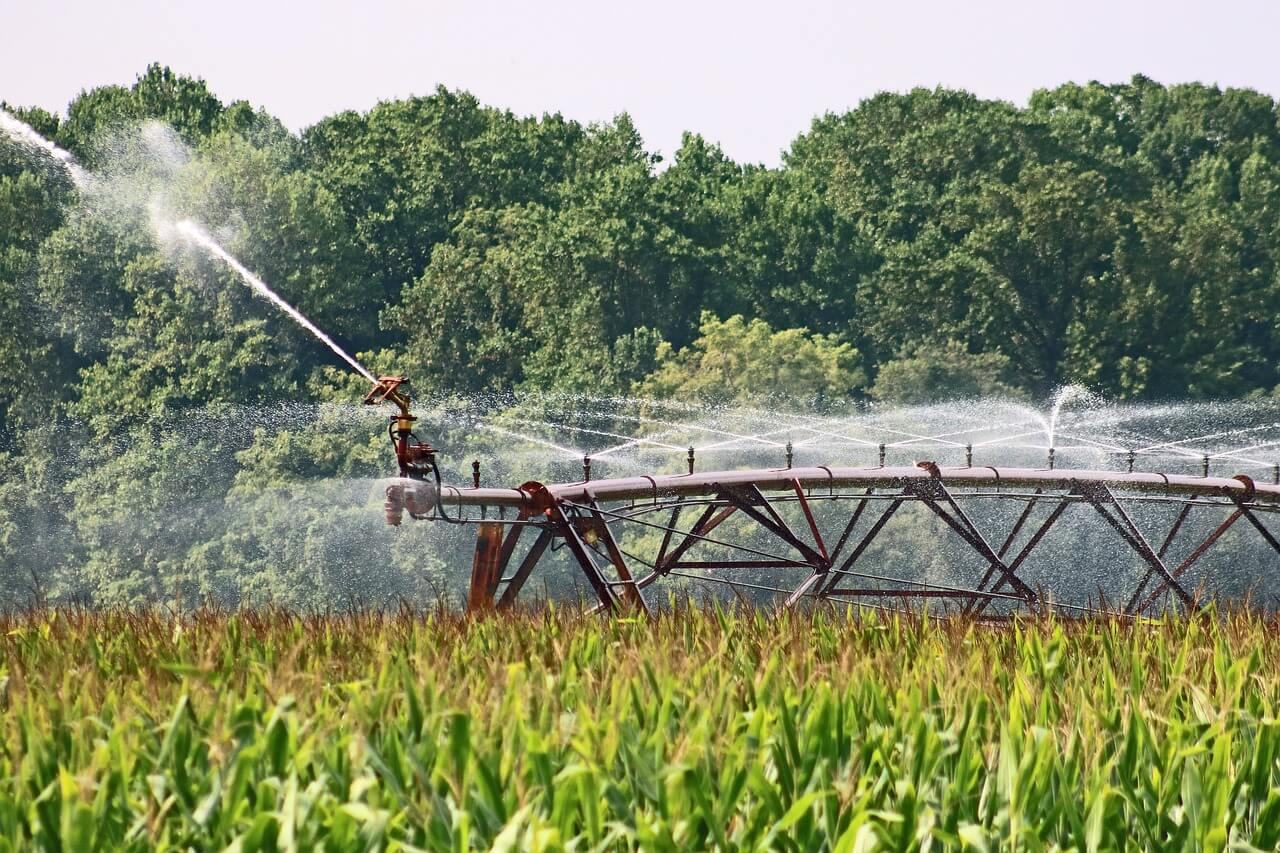 4T heredará 100 mil hectáreas de riego