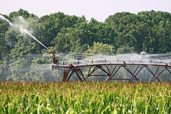 4T heredará 100 mil hectáreas de riego