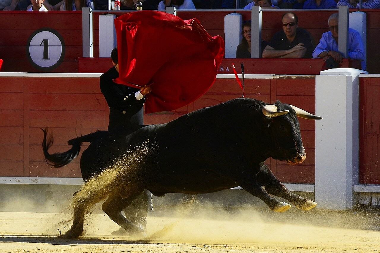 ¿Corridas de toros sí o no? AMLO propone consulta