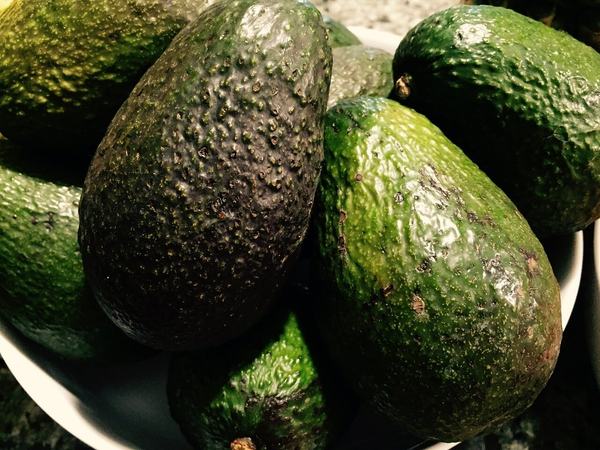 México y EE.UU buscan resolver  importación de aguacate