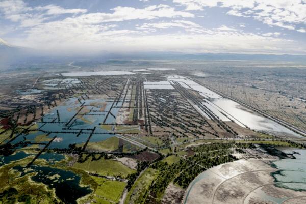 Parque Ecológico Lago de Texcoco: joya ambiental