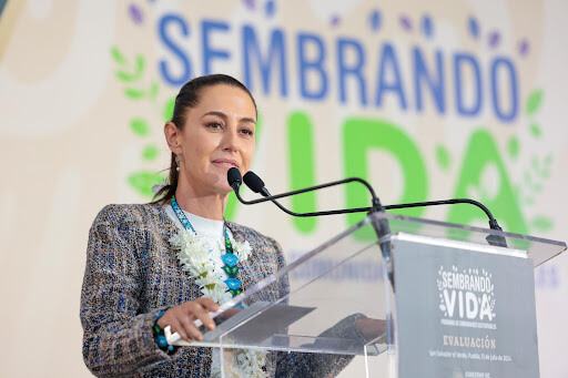 Sheinbaum presentará Sembrando Vida en G-20