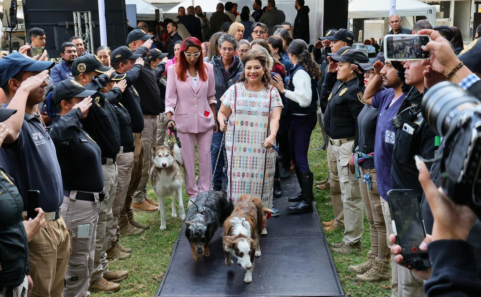 CDMX instala Consejo de Bienestar Animal