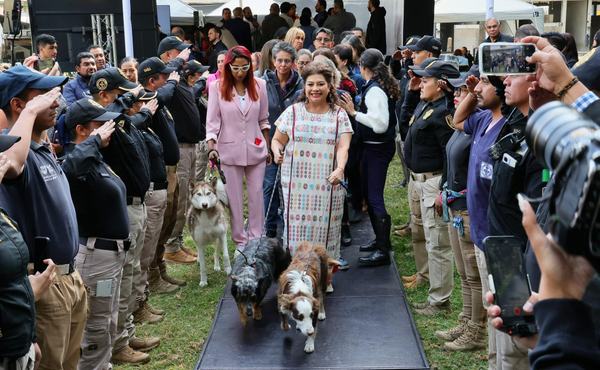 CDMX instala Consejo de Bienestar Animal