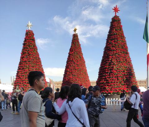 Zócalo: un tributo a la riqueza agrícola de Xochimilco