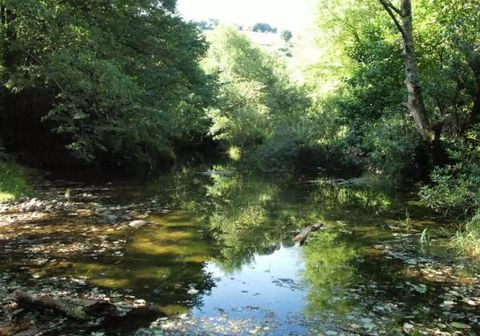 CDMX, Morelos y Edomex protegerán Bosque de Agua