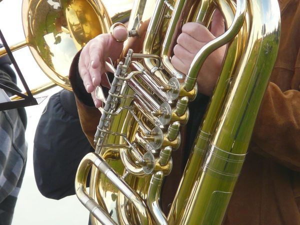 Corridos tumbados sin censuran en CDMX