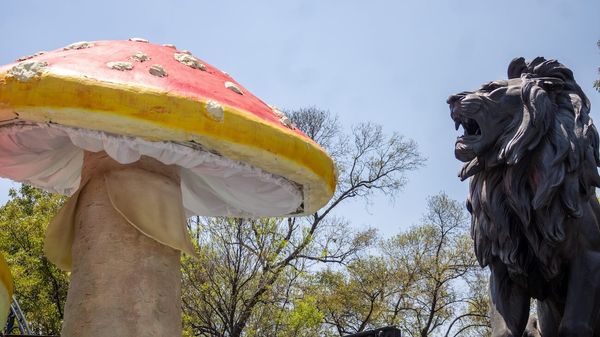 Spora: 10 días para redescubrir la vida en Chapultepec
