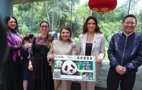 Xin Xin, la panda gigante, recibe homenaje en billete de Lotería