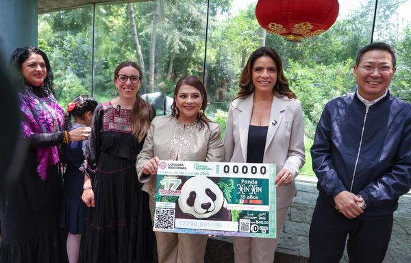 Xin Xin, la panda gigante, recibe homenaje en billete de Lotería