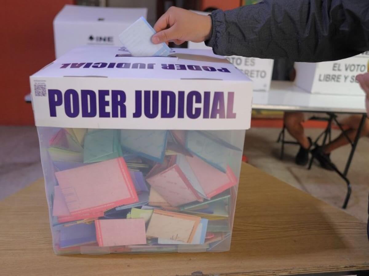 Una elección para aprender: claves del proceso judicial 2025