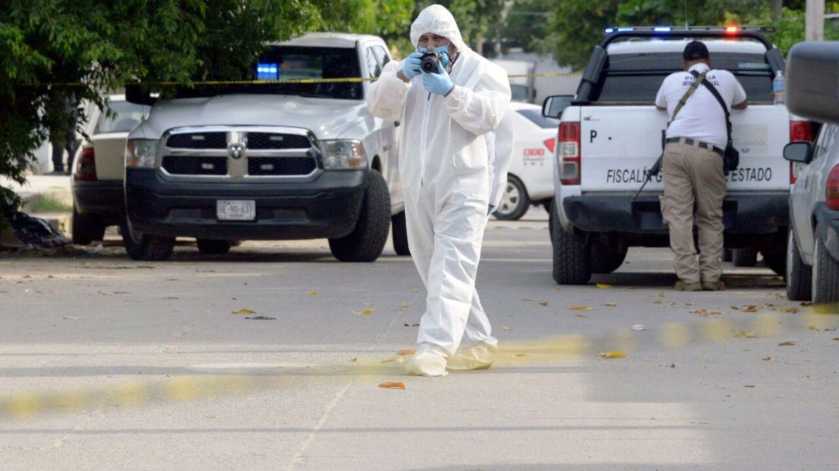México registra en 2025 la mayor reducción de homicidios dolosos en casi una década