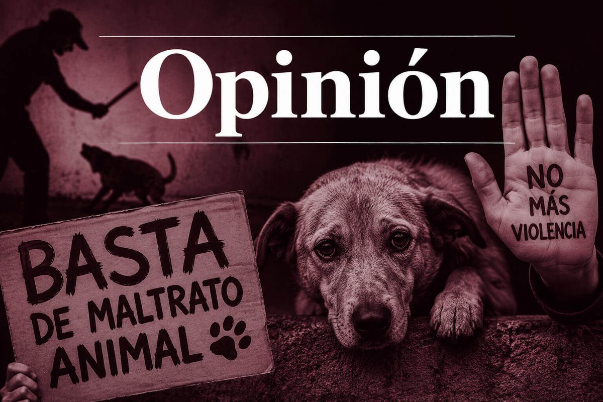 Fin al maltrato animal
